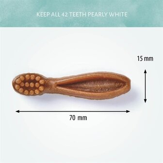 Antos Mixed Brush 50 ST