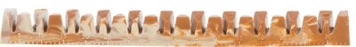 Trixie Denta Fun Veggie Jaw Bone 22 CM