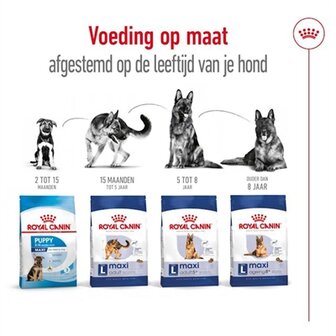 Royal Canin Maxi Adult 4 KG