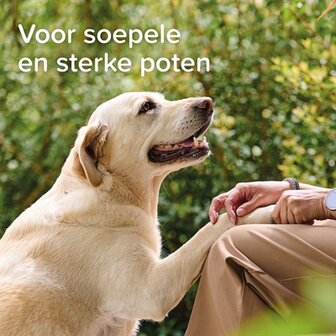 Beaphar Voetenzolenspray 150 ML