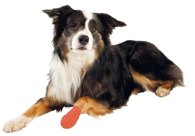 Trixie Zelfklevend Verband Assorti 5 CM 4,5 MTR 4 ST