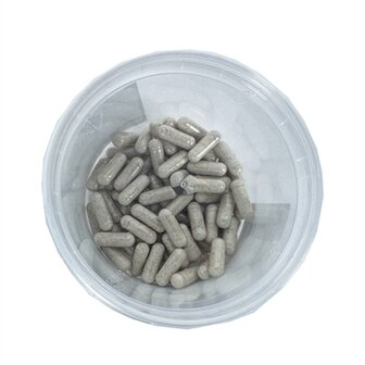 Dierendrogist Darmflora Opbouw / Verbeterend Capsules 60 ST