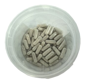Dierendrogist Probiotica Capsules 60 ST