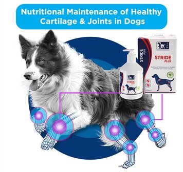 Trm Stride Plus 200 ML