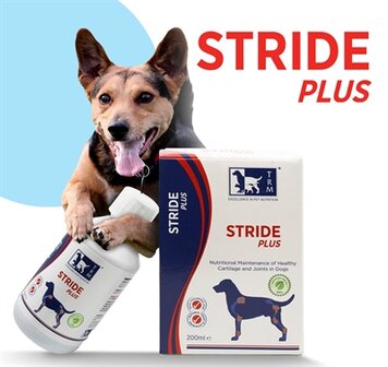 Trm Stride Plus 500 ML