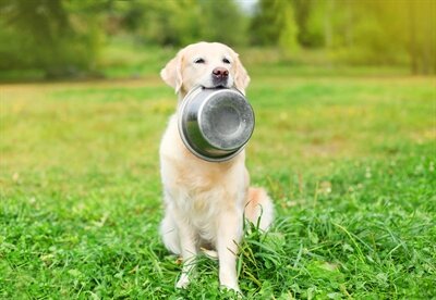Happy Pet Voerbak Rvs 25 CM