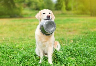 Happy Pet Voerbak Rvs 16,5 CM