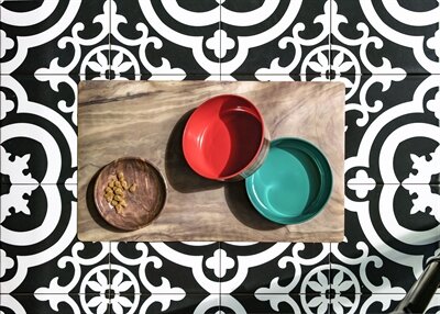 Tarhong Voerbak Hond Olive Melamine Houtprint / Teal Zeegroen 15,5X15,5X5,5 CM 700 ML