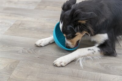 Trixie Lick&#039;n&#039;snack Hondenvoerbak Silicone 16 CM