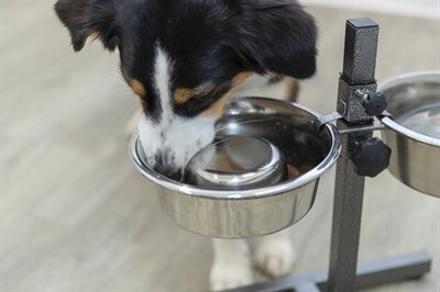 Trixie Voerbak Hond Slow Feeding Rvs 21 CM