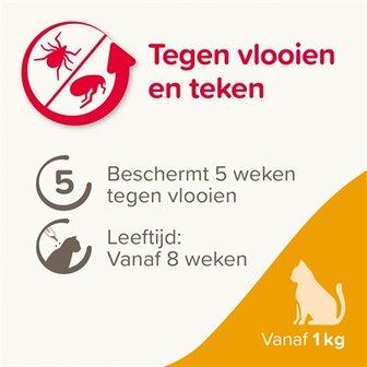 Beaphar Fiprotec Kat Tegen Vlooien &amp; Teken 3+1 PIPET &gt;1 KG EN 8 WEKEN