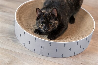 Trixie Krabmand Lilly Karton Catnip Lichtgrijs 45X45X10 CM