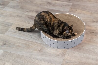 Trixie Krabmand Lilly Karton Catnip Lichtgrijs 45X45X10 CM