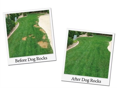Dog Rocks 200 GR
