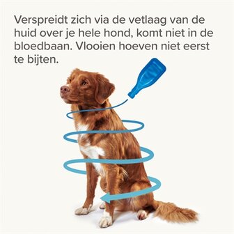 Beaphar Fiprotec Hond Tegen Teken En Vlooien 20-40 KG 3+1 PIP