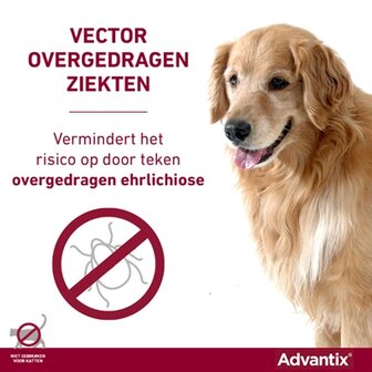 Bayer Elanco Advantix Spot On 600/3000 40+ KG - 4 PIP