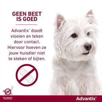 Bayer Elanco Advantix Spot On 600/3000 40+ KG - 4 PIP