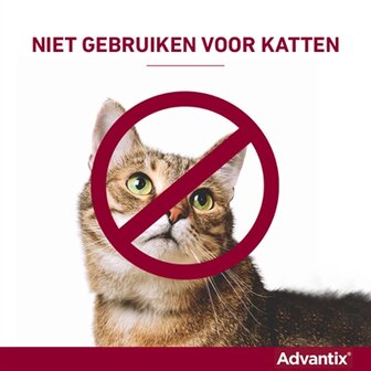 Bayer Elanco Advantix Spot On 600/3000 40+ KG - 4 PIP