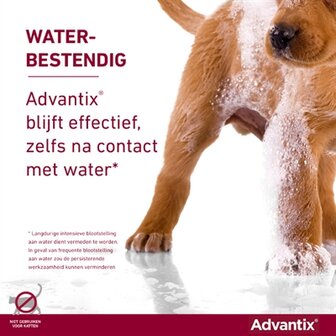 Bayer Elanco Advantix Spot On 600/3000 40+ KG - 4 PIP