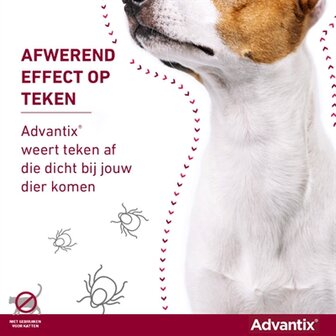 Bayer Elanco Advantix Spot On 600/3000 40+ KG - 4 PIP