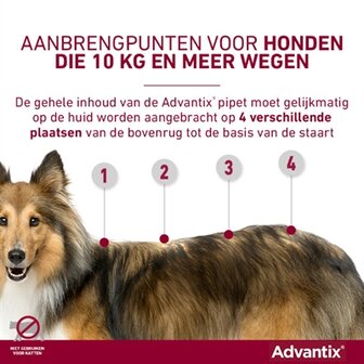 Bayer Elanco Advantix Spot On 600/3000 40+ KG - 4 PIP