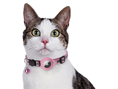 Croci Halsband Kat Met Tag Houder Roze 19-26X1,5 CM