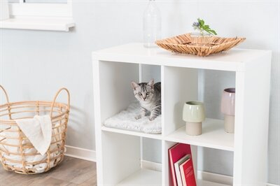 Trixie Ligmat Harvey Voor Kast Wit-Zwart 38X33X1,5 CM