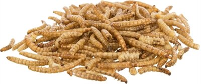 Trixie Meelwormen Gedroogd 200 GR