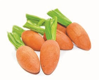 Critter&#039;s Choice Happy Pet Carrot Nibblers Knaaghout 8X3X3 CM 6 ST