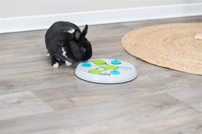 Trixie Slide&amp;Funboard Kunststof 23X23 CM