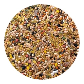 Utopia Parkieten Top Quality 1 KG