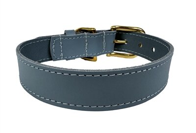 Sazzz Halsband Hond Braveheart Classic Leer Lichtblauw 42-50X3 CM