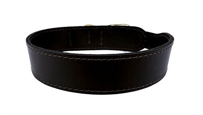 Sazzz Halsband Hond Pioneer Classic Leer Donkerbruin 37-45X3,5 CM