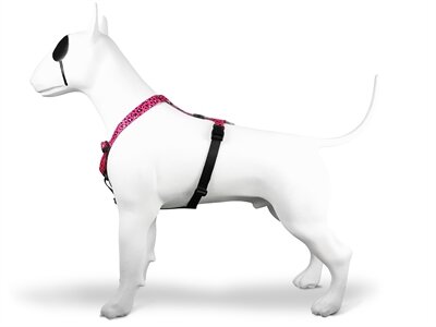 Morso Hondentuig H-Tuig Gerecycled Bubble Leo Roze 60-80X2,5 CM