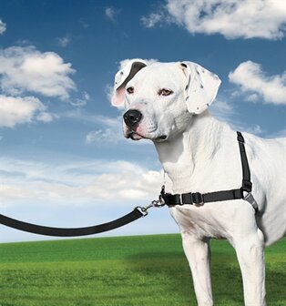 Petsafe Easy Walk Anti-Trek Tuig Zwart M