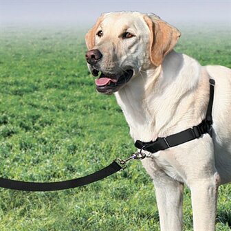 Petsafe Easy Walk Anti-Trek Tuig Zwart L