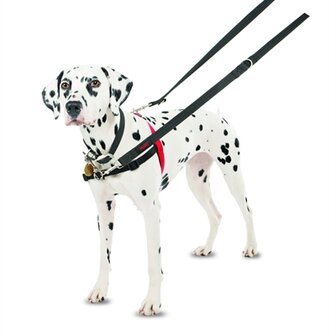 Halti Harness Front Control Zwart MEDIUM