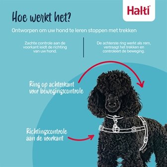 Halti Harness Front Control Zwart MEDIUM