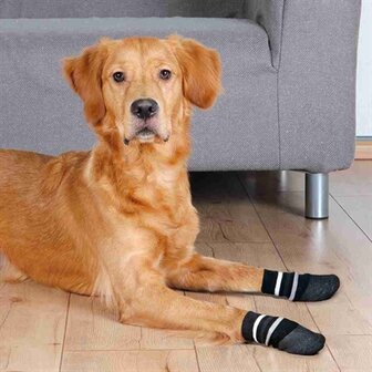 Trixie Hondensokken Anti-Slip Met Rubberlaag Rondom Zwart L 2 ST