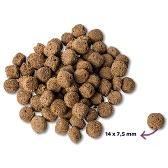 Renske Super Premium Adult Oceaanvis Hypoallergeen 12 KG