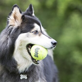 Kong Squeakair Tennisbal Geel Met Piep LARGE 8 CM