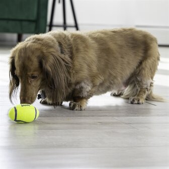 Kong Airdog Football Geel SMALL 9X5,5 CM