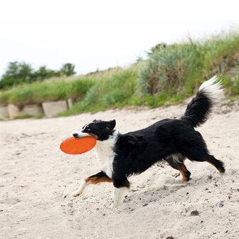 Trixie Rubber Frisbee Dog 0 Soar Assorti 18 CM