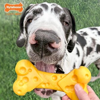 Nylabone Dura Chew Cheese Bone TOT 23 KG