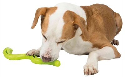 Trixie Tpr Snackslang Groen 42 CM