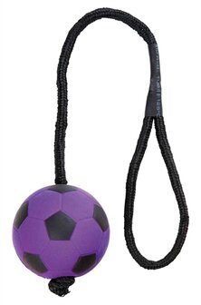 Trixie Sportbal Aan Touw Schuimrubber Drijvend Assorti 6X6X30 CM
