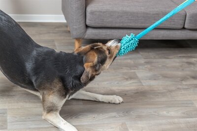 Trixie Bungee Dummy Polyester Petrol 47 CM