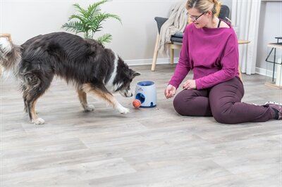 Trixie Dog Activity Strategiespel Ball&amp;Treat Wit / Blauw 17X17X18 CM