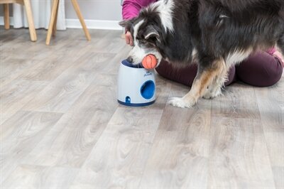 Trixie Dog Activity Strategiespel Ball&amp;Treat Wit / Blauw 17X17X18 CM