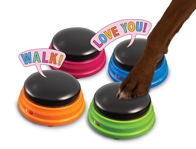 Hunger For Words Talking Pet Starter Set 19,5X4,7X19,6 CM
